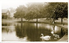 Barnes Pond,wildlife